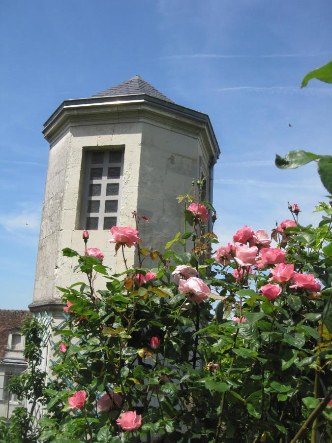 Villa A L'Ancien Pigeonnier Loches Kültér fotó