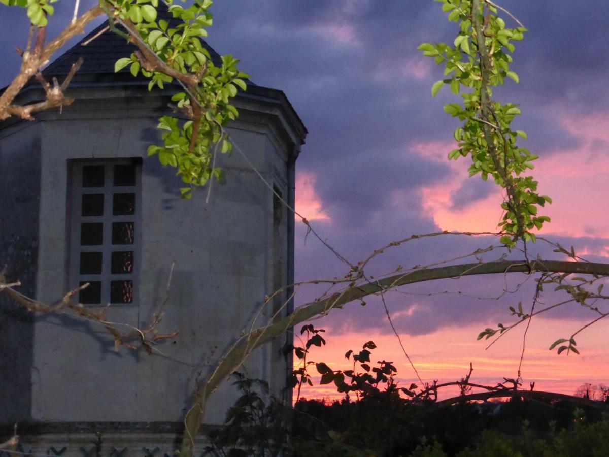 Villa A L'Ancien Pigeonnier Loches Kültér fotó